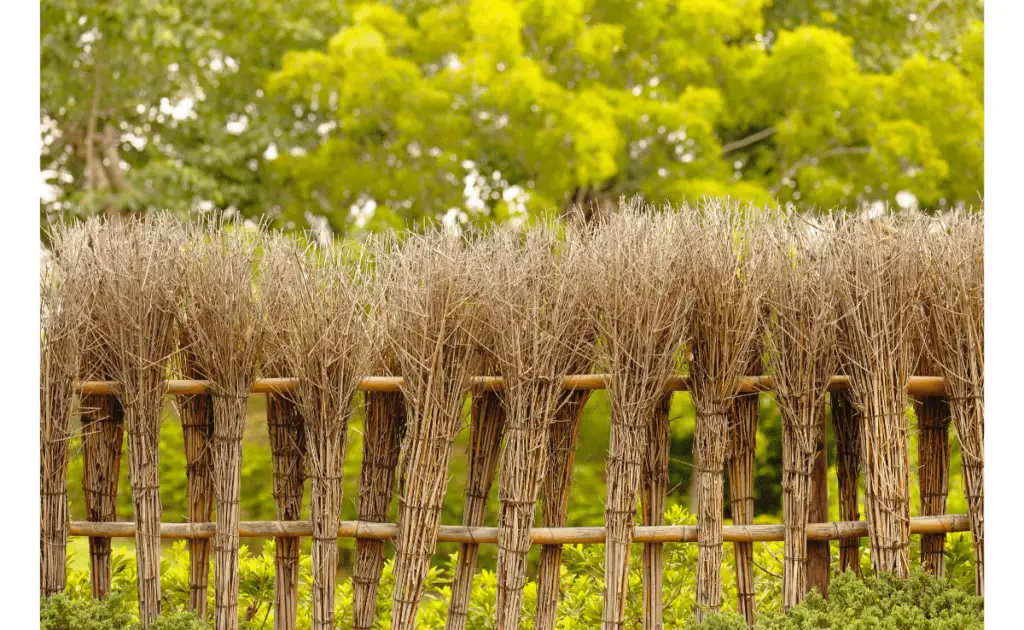 garden fence