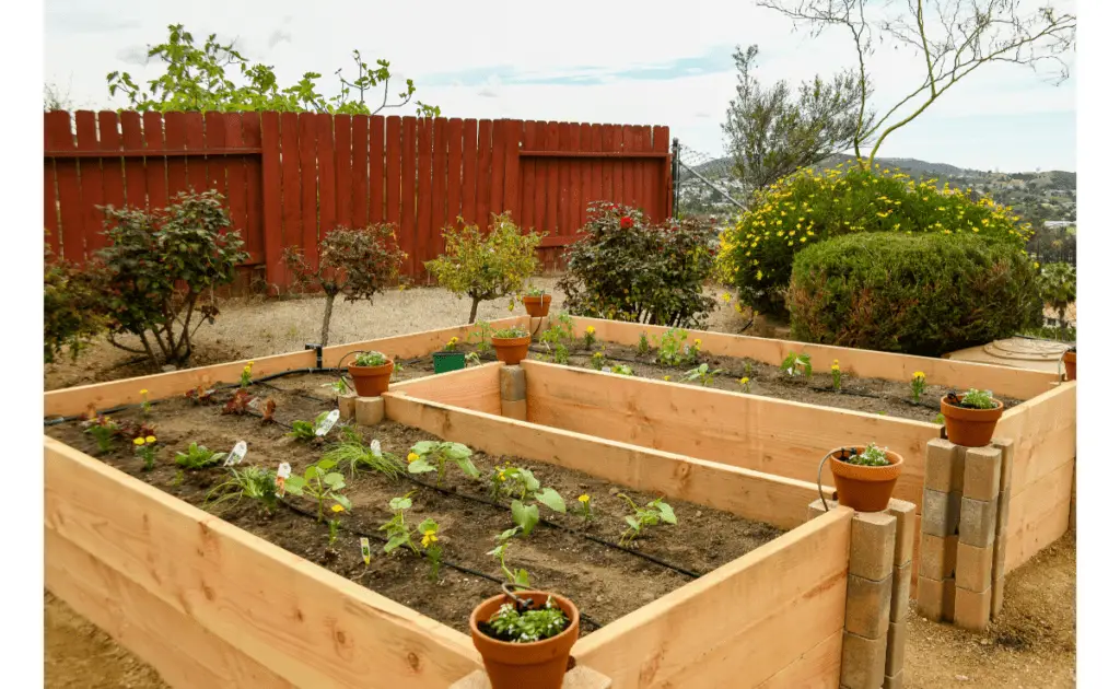 raised garden bed