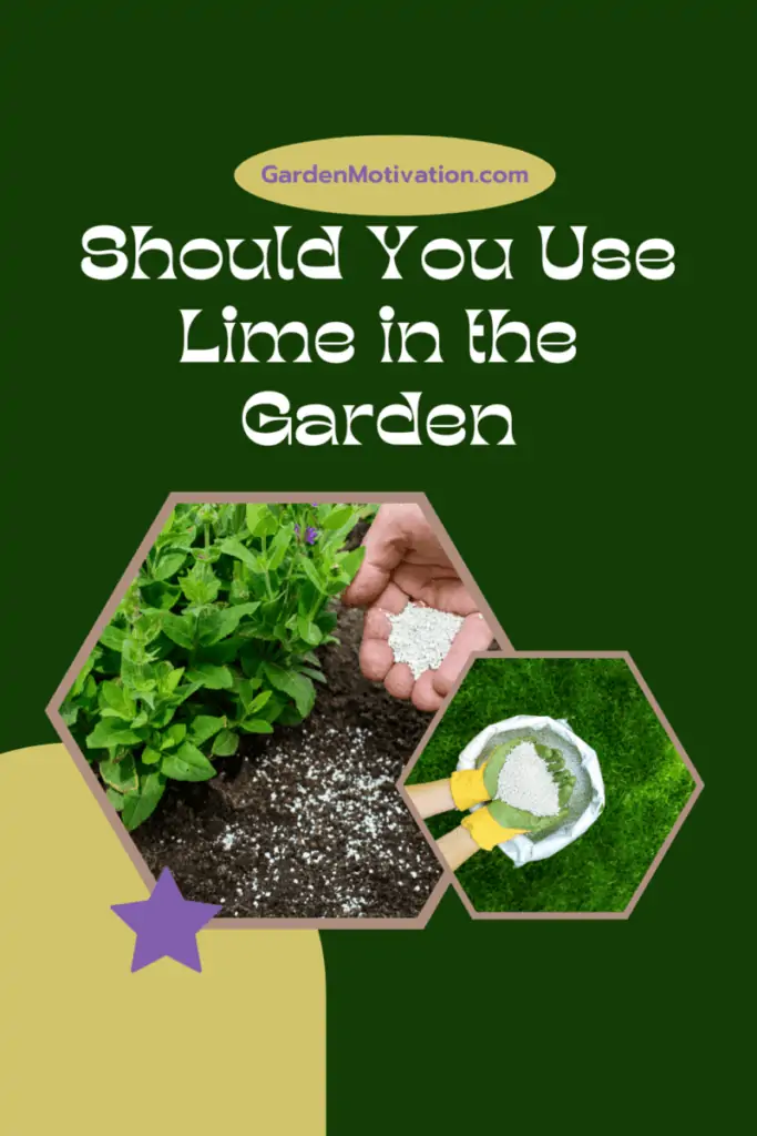 Should I Put Lime in My Garden? Garden Motivation